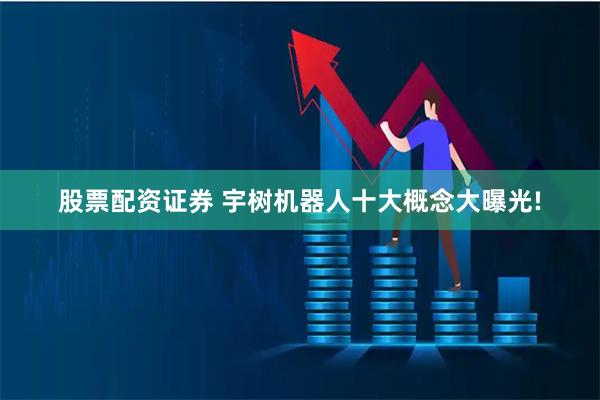 股票配资证券 宇树机器人十大概念大曝光!
