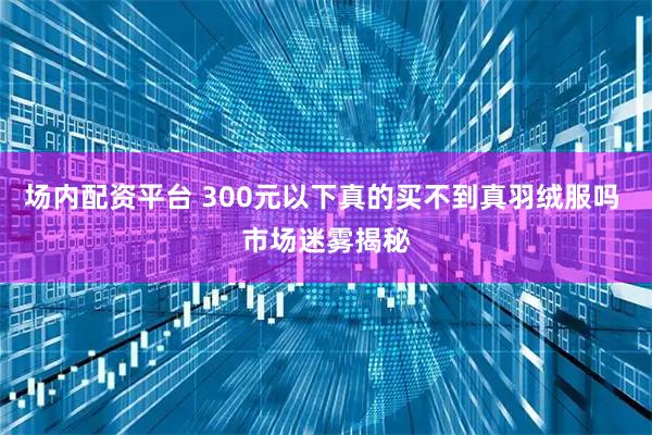 场内配资平台 300元以下真的买不到真羽绒服吗 市场迷雾揭秘