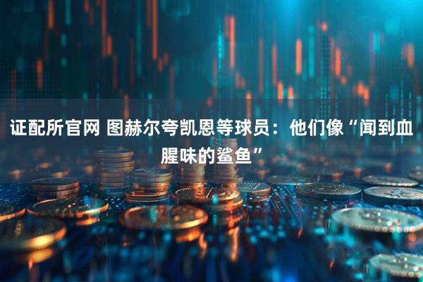 证配所官网 图赫尔夸凯恩等球员：他们像“闻到血腥味的鲨鱼”